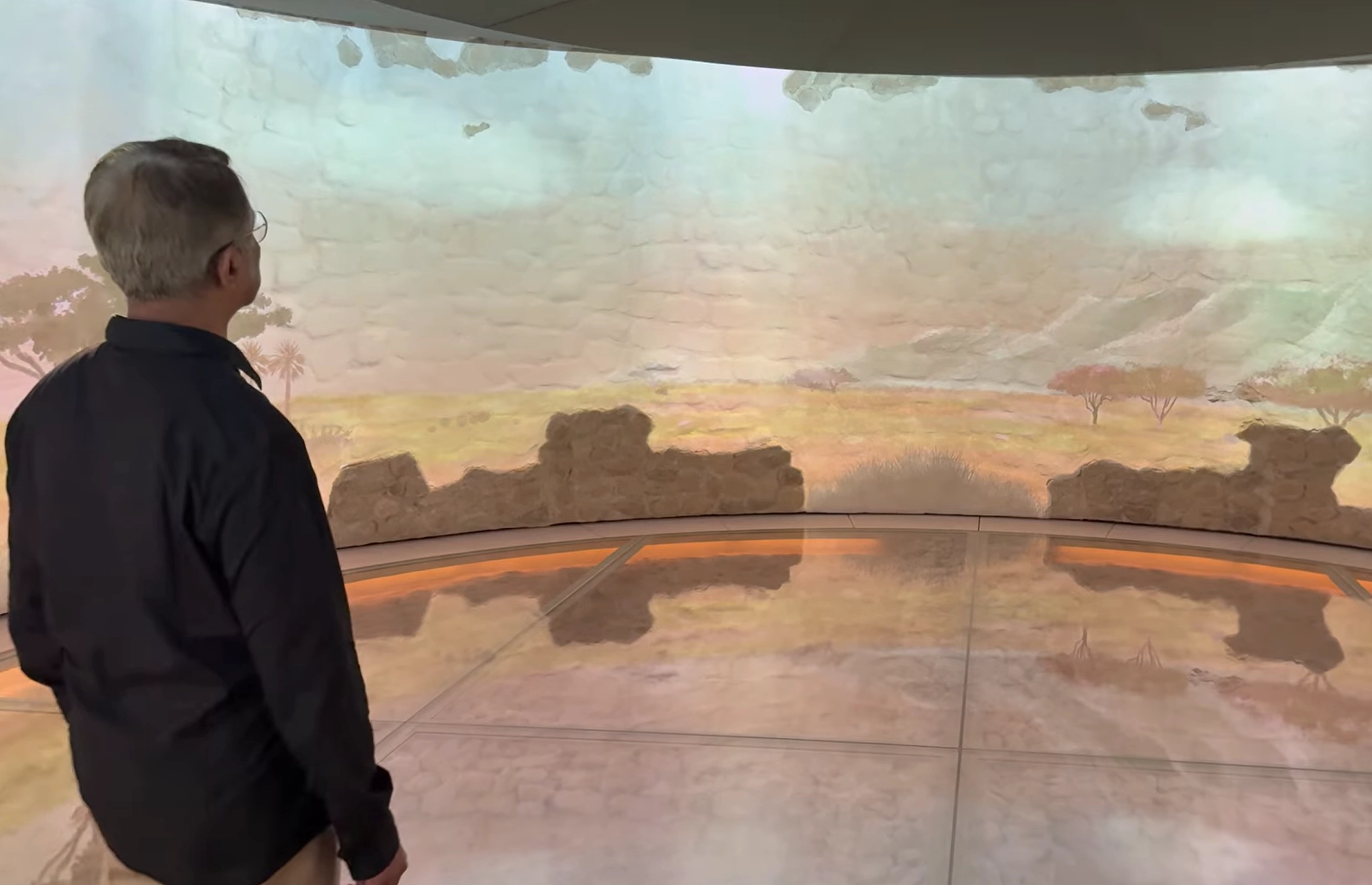 360 Projection